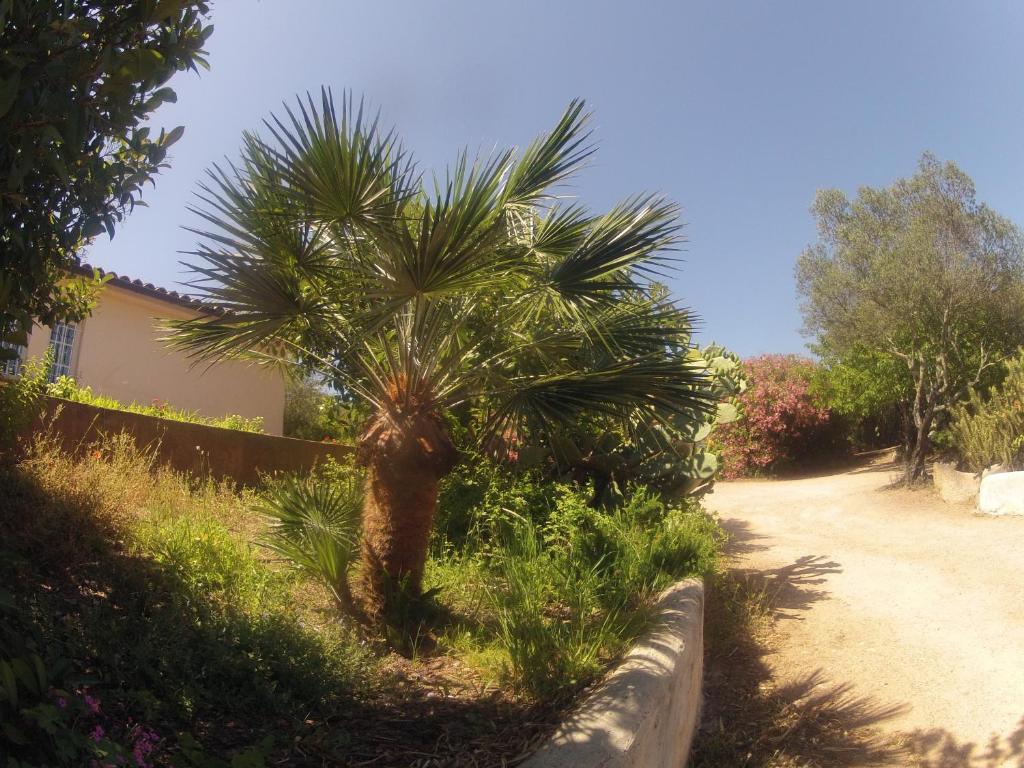 Residence La Beloutiere Porto-Vecchio  Ngoại thất bức ảnh
